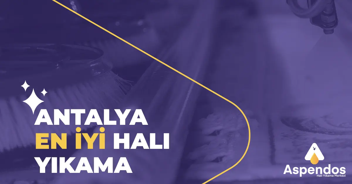 Antalya En İyi Halı Yıkama Yöntemleri