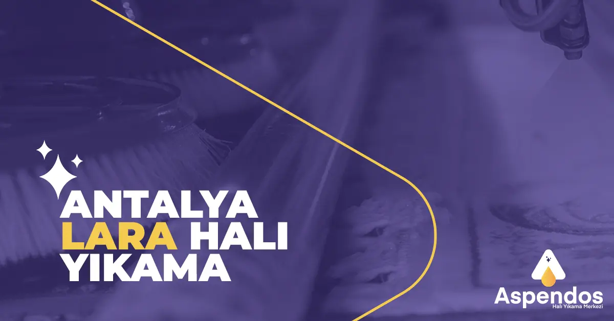 Antalya Lara Halı Yıkama